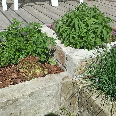 Apartment Family And Garden *