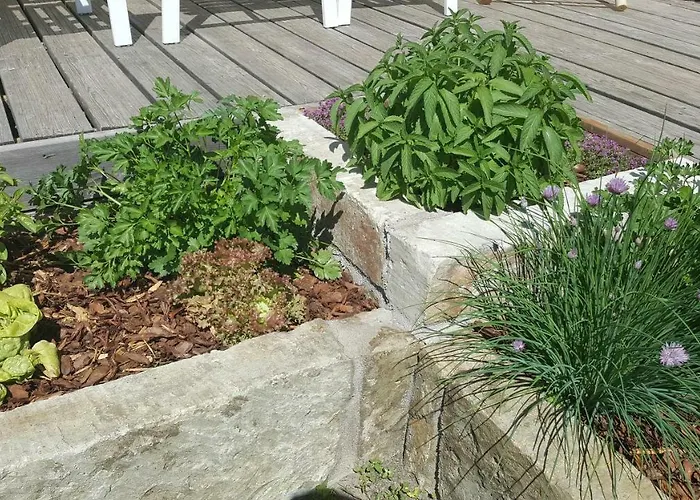 Apartament Family And Garden *